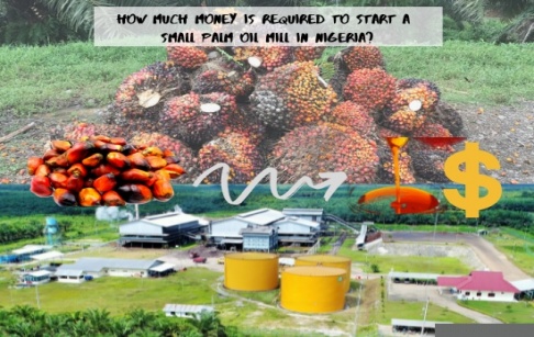 How much it will cost to build a small scale palm oil plant in Nigeria?