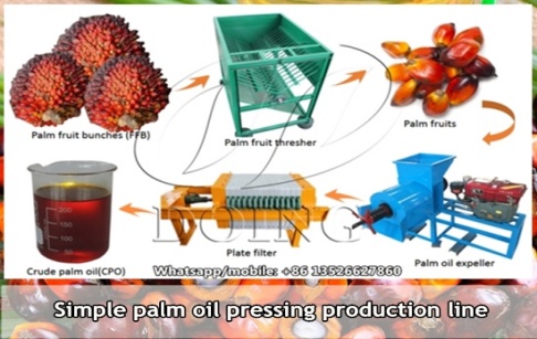 A Congolese customer successfully placed an order for palm oil making machines from Henan Glory Company