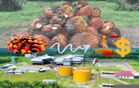 How much it will cost to make and install 20TPD palm oil processing plant in Nigeria?