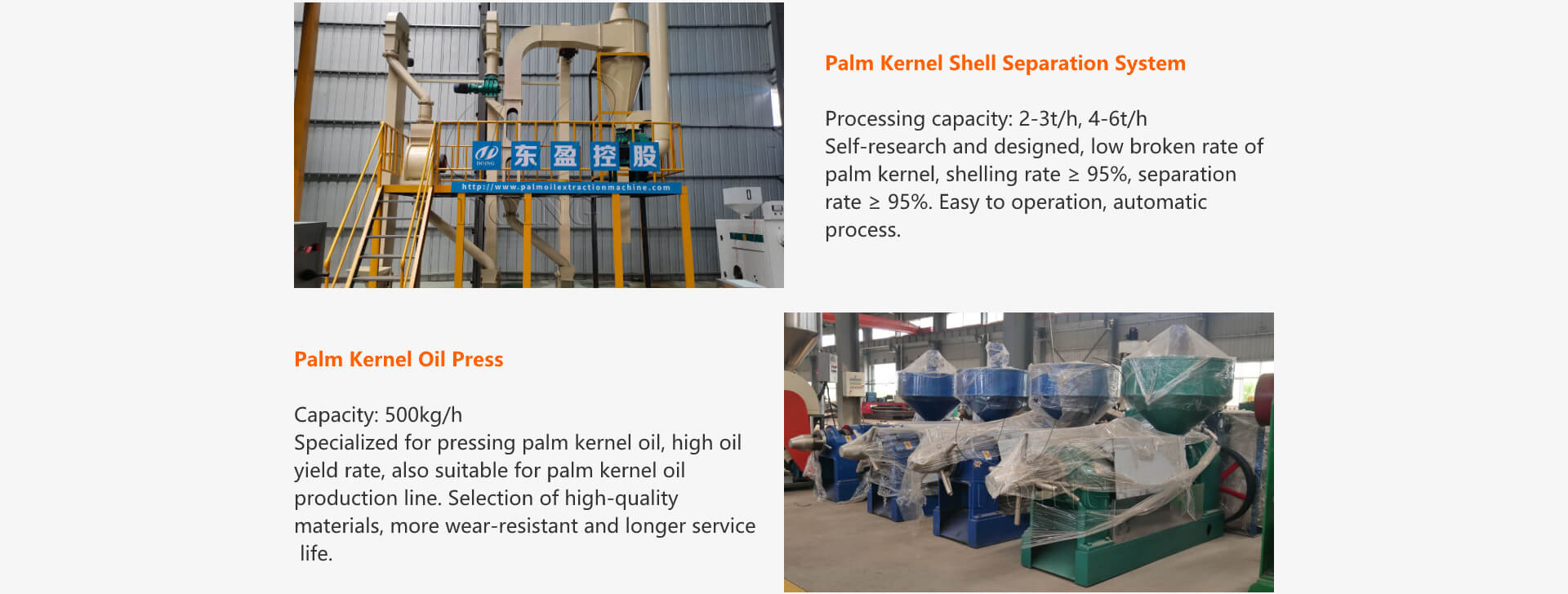 palm oil crushing equipment