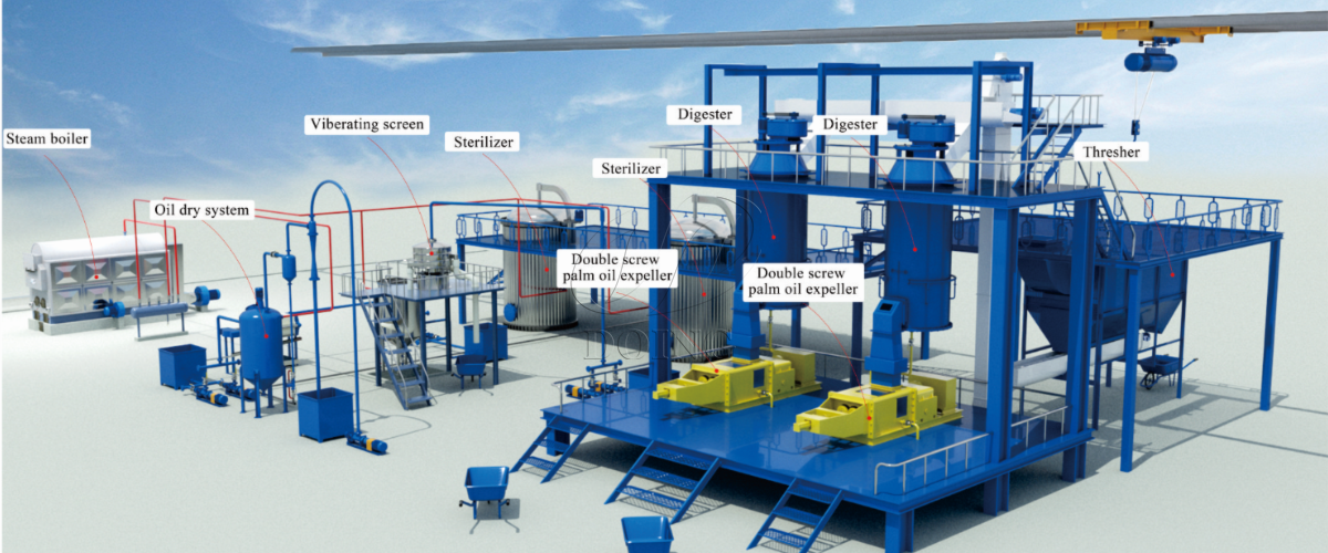 Palm oil production process