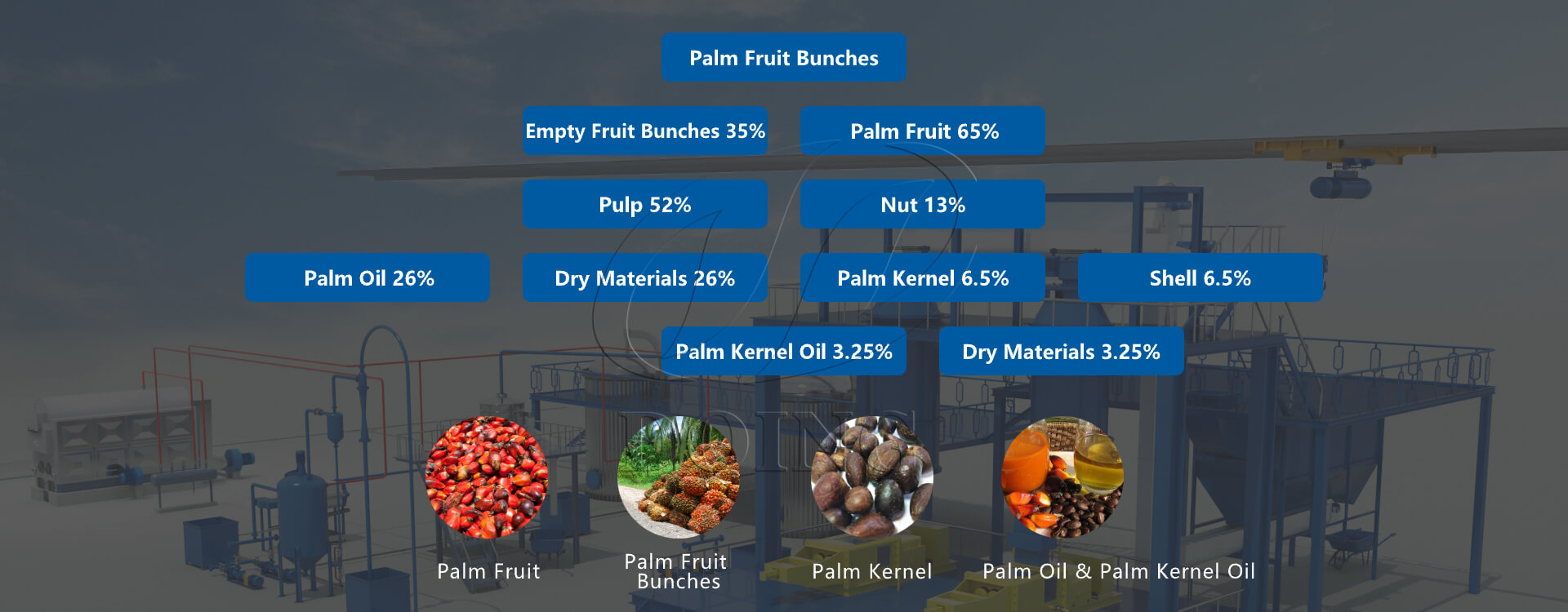 palm oil processing equipment