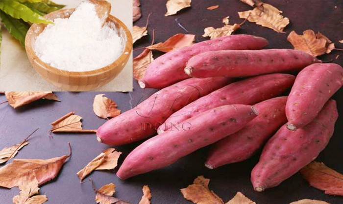 Fresh sweet potato