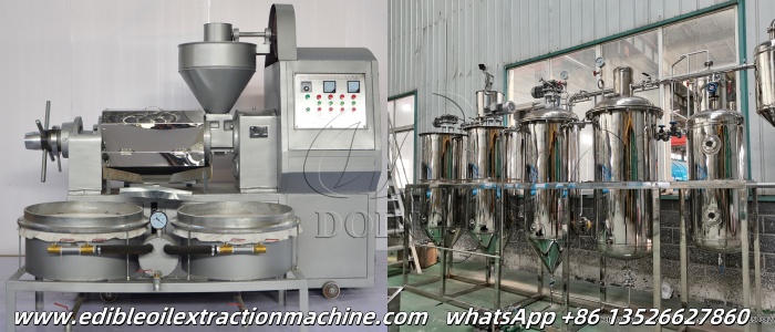 cooking oil press machine and cooking oil refining machine.jpg