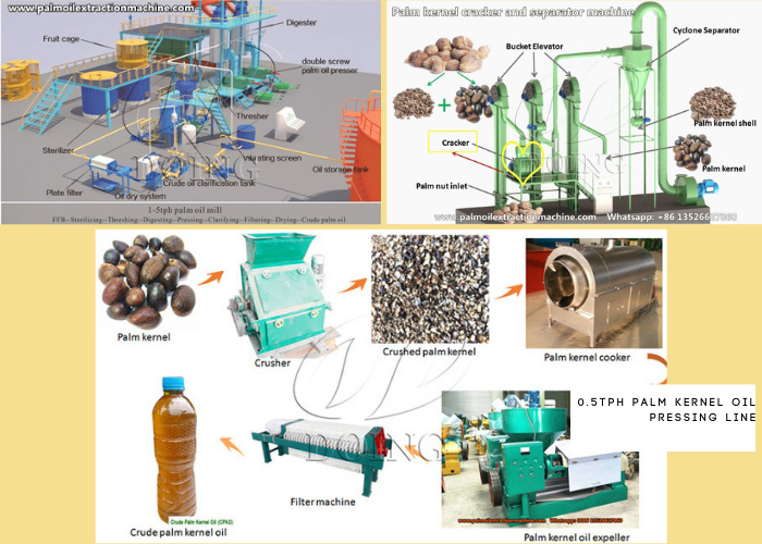 Palm oil and palm kernel oil equipment .jpg