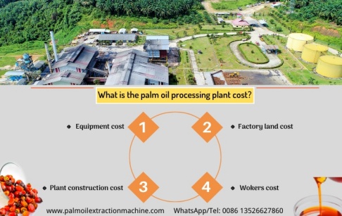 What's the cost of setting up a palm oil processing plant in India?