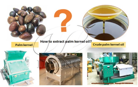 A Nigerian customer successfully placed an order for palm kernel oil processing machines from Henan Glory