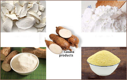 Cassava processing equipment catalog and product list