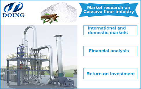 How much is one ton cassava? Why it is profitable to invest in tapioca powder processing business?