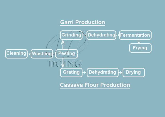 cassava processing for garri and cassava flour